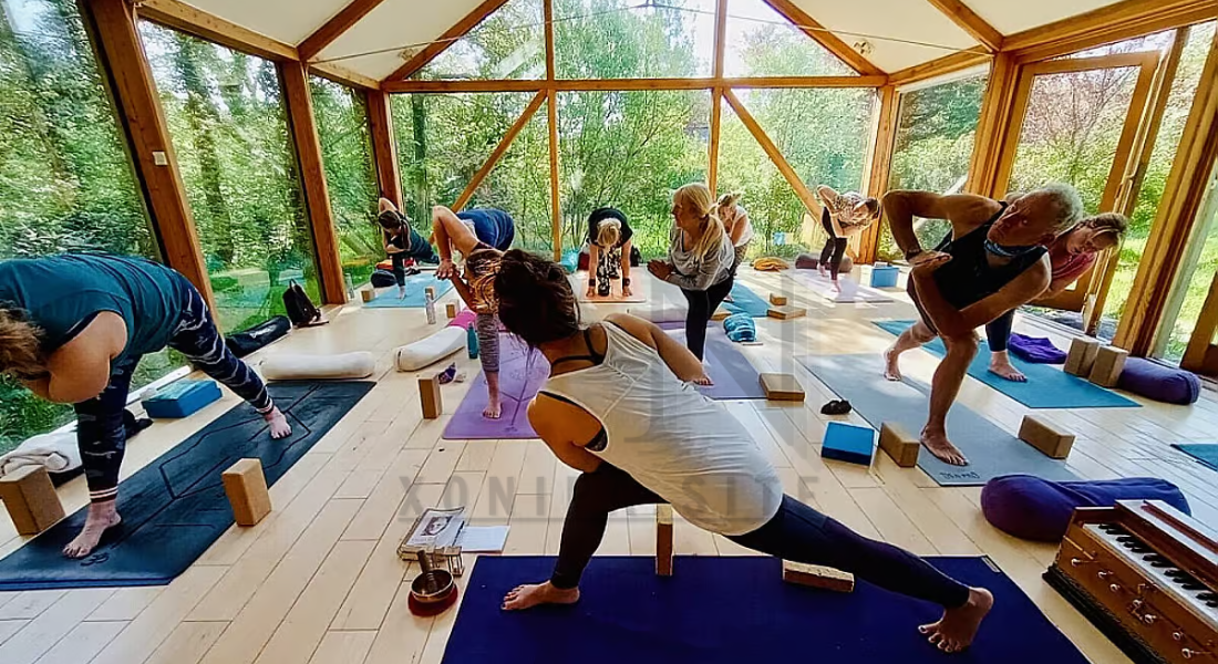 Premium Silent Yoga Retreats